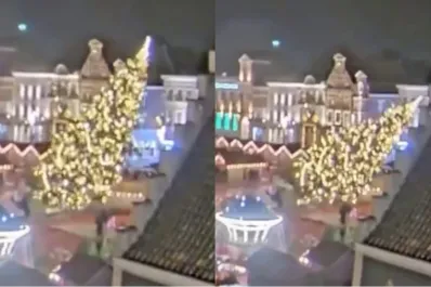 Tragedia en Bélgica: cayó un árbol de Navidad gigante y mató a una mujer
