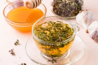 Té de orégano: qué pasa si tomo todos los días y a qué se debe prestar atención