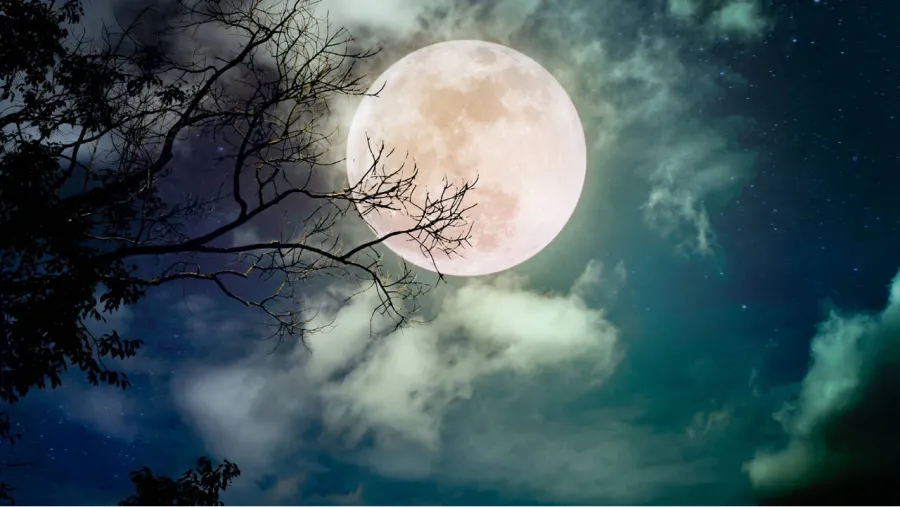 Horóscopo: ¿cómo afectará la Luna llena en Cáncer a cada signo?