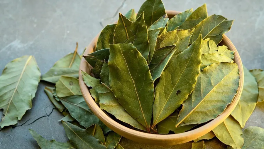 Para qué sirve tener hojas de laurel dentro del baño