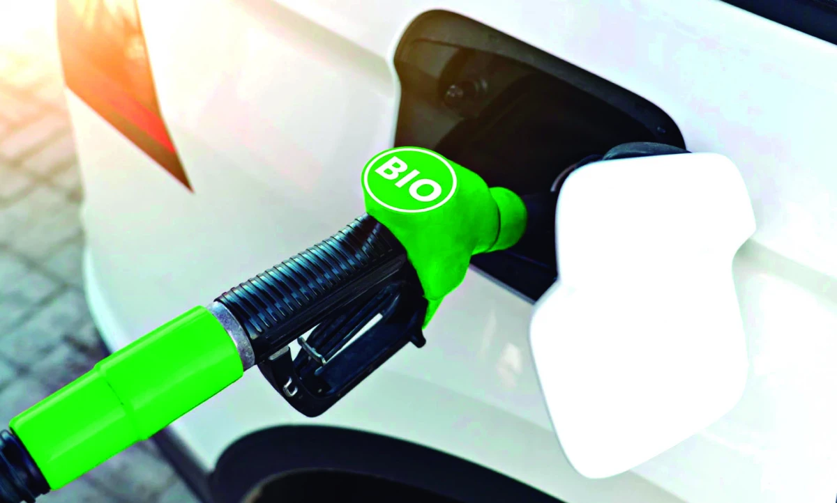 Cartas de lectores: Sector surcoenergético y Ley ómnibus