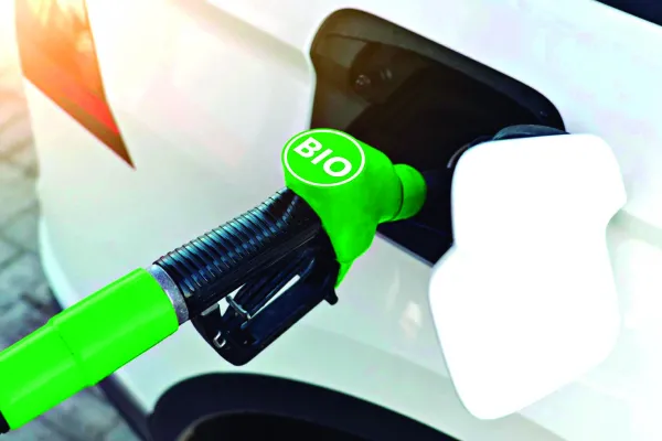 Cartas de lectores: Sector surcoenergético y Ley ómnibus