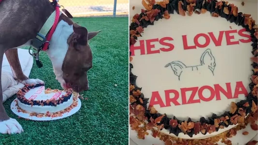 La celebración por los 1000 días de Arizona