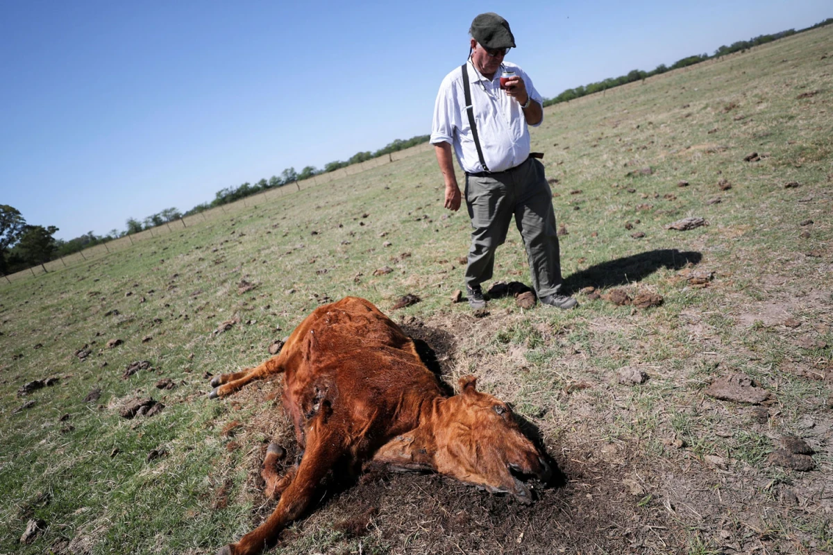 ¿Qué puede pasar si la temperatura sigue en aumento?