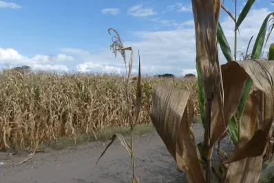 La sequía fue terrible e hizo crujir al campo en 2023