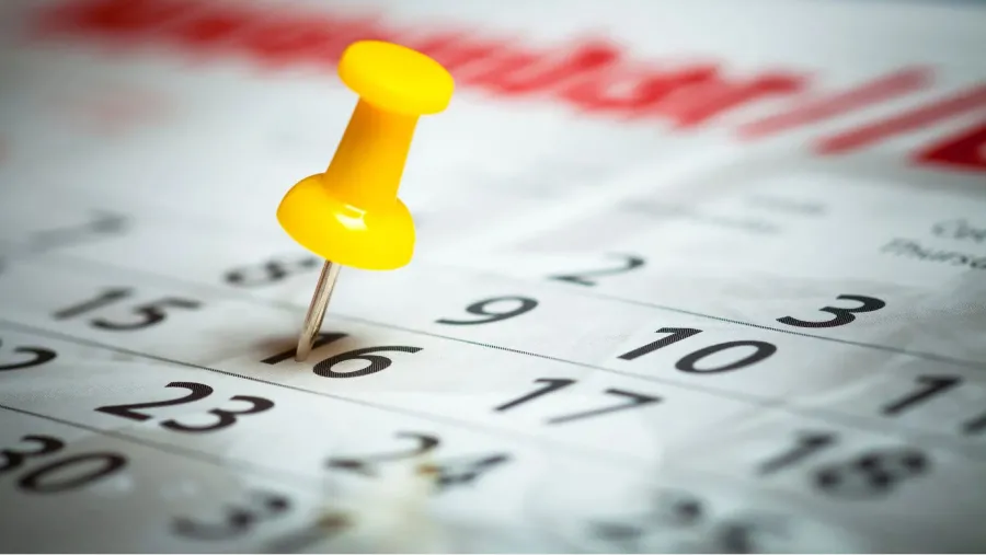 Feriados 2024: ¿cuándo será el fin de semana largo de cinco días?