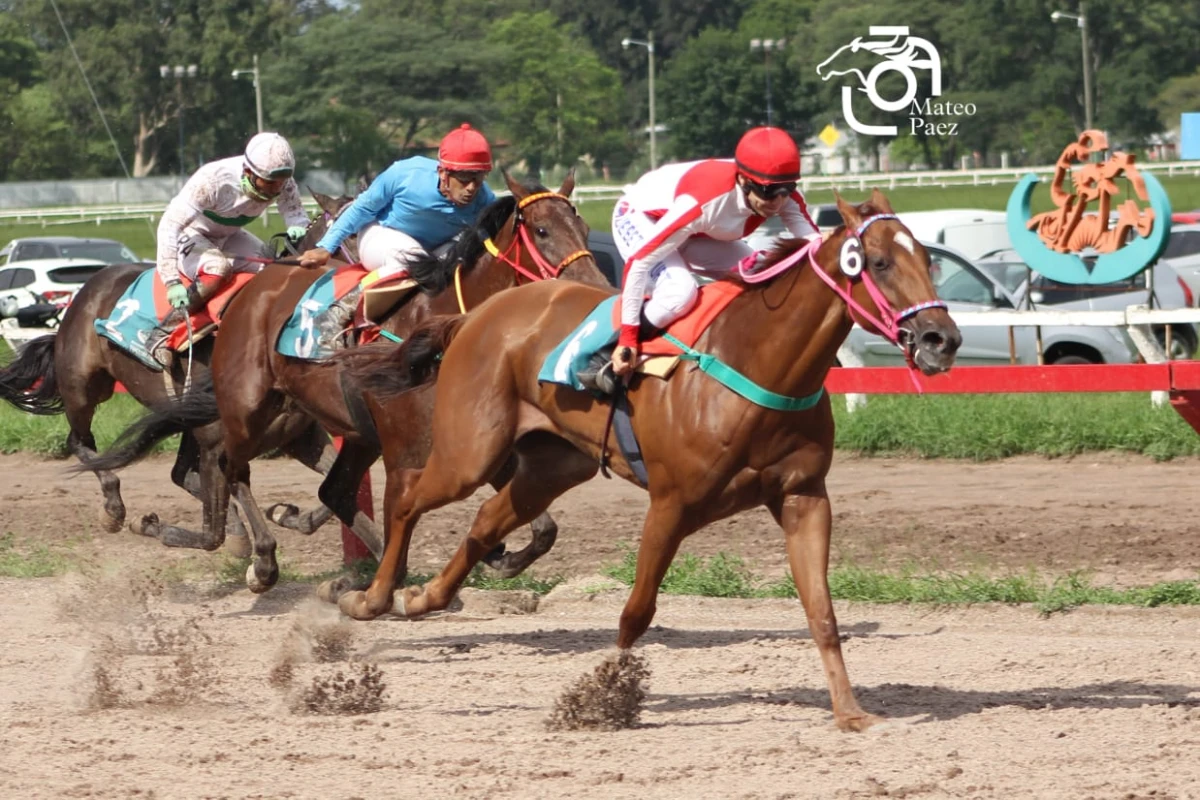 CARRERA. Gatilla Bien se llevó todos los aplausos en el Hipódromo tucumano.