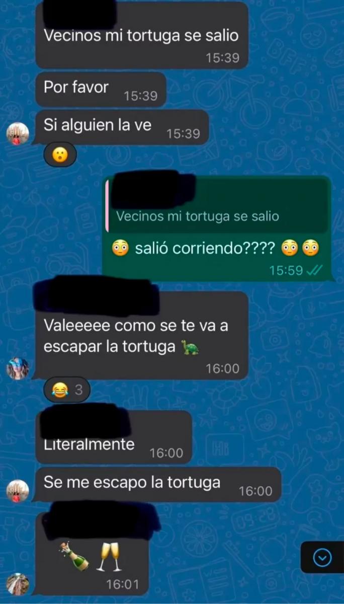 El operativo vecinal para encontrar a la tortuga perdida
