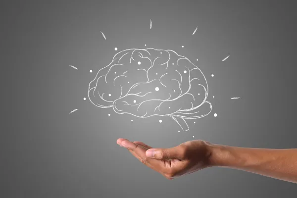 ¿Cuál es el poderoso componente que beneficia a la memoria?
