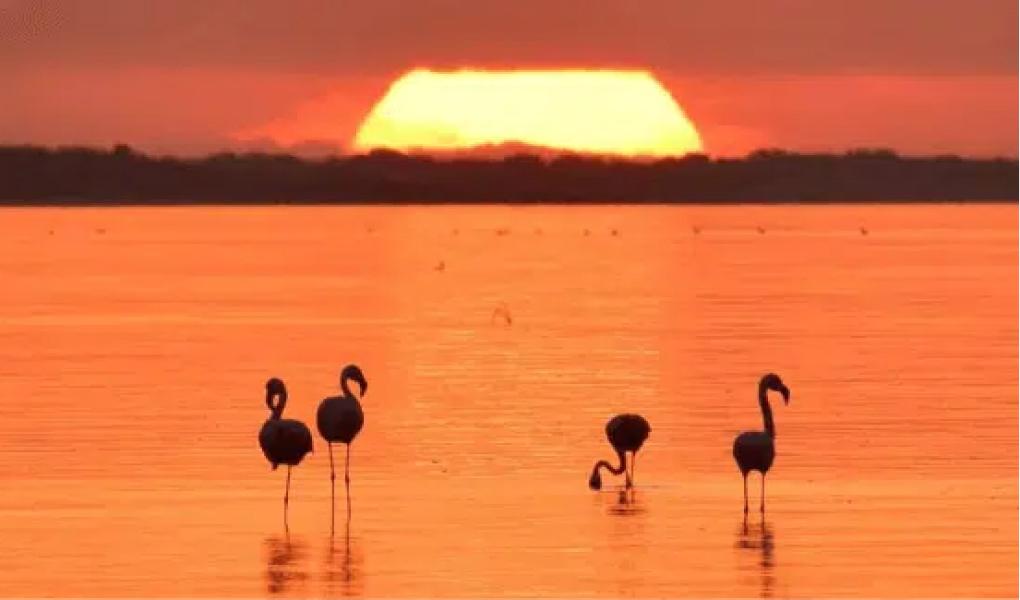 Los atardeceres son uno de los principales atractivos de Mar Chiquita en Córdoba