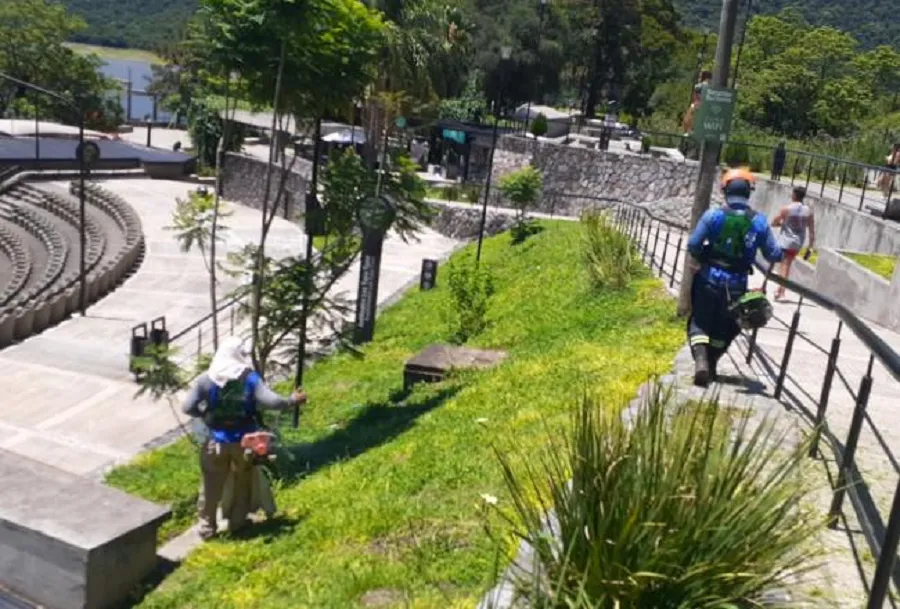 Temporada turística: refuerzan las tareas de desmalezamiento y fumigación en El Cadillal