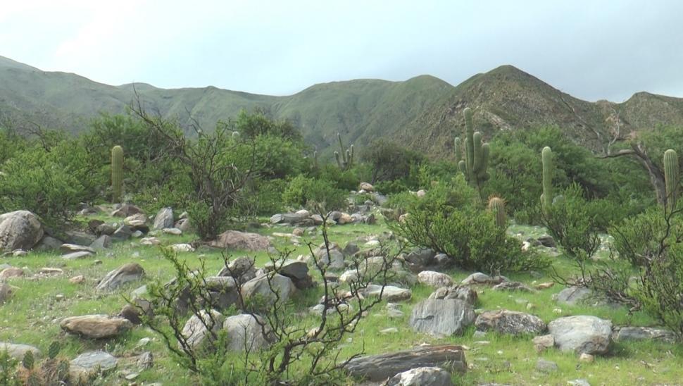 Descubrí Talapazo: un destino único que conecta con la naturaleza y la historia