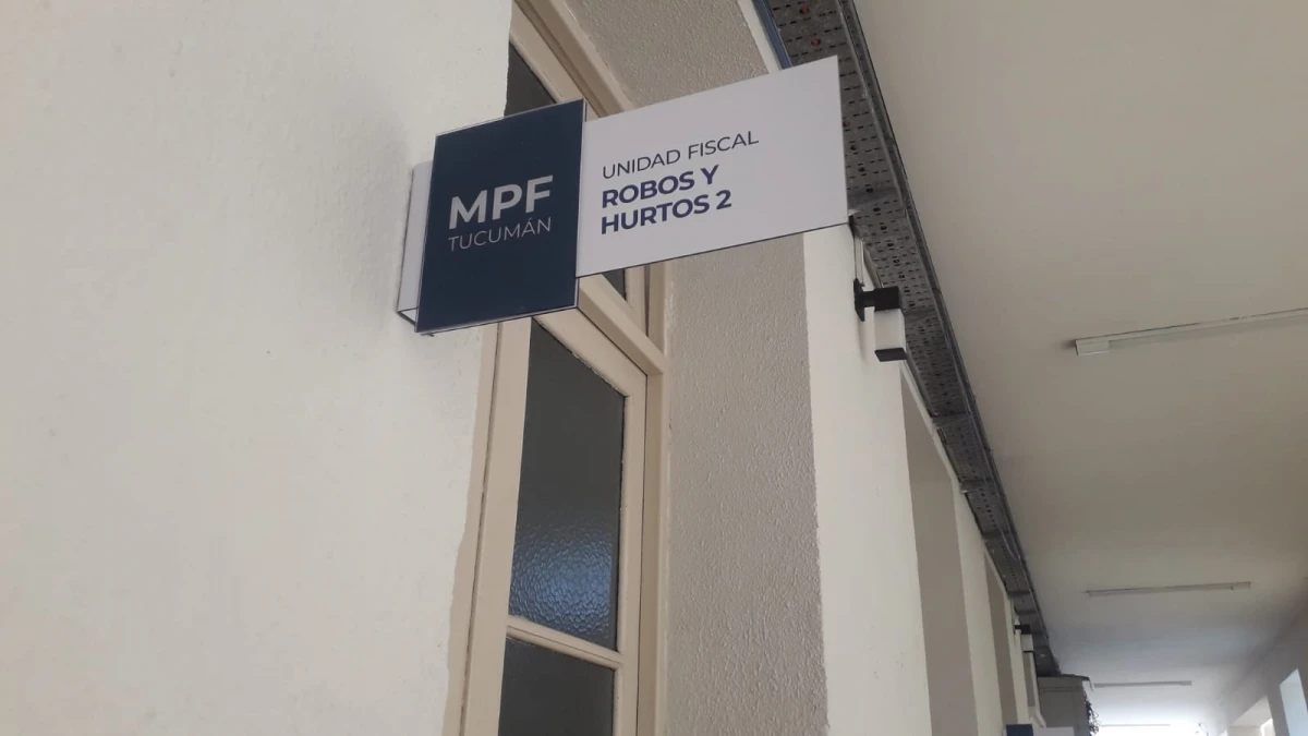 Entraron una casa y se llevaron los juguetes y hasta los cachorros de la familia