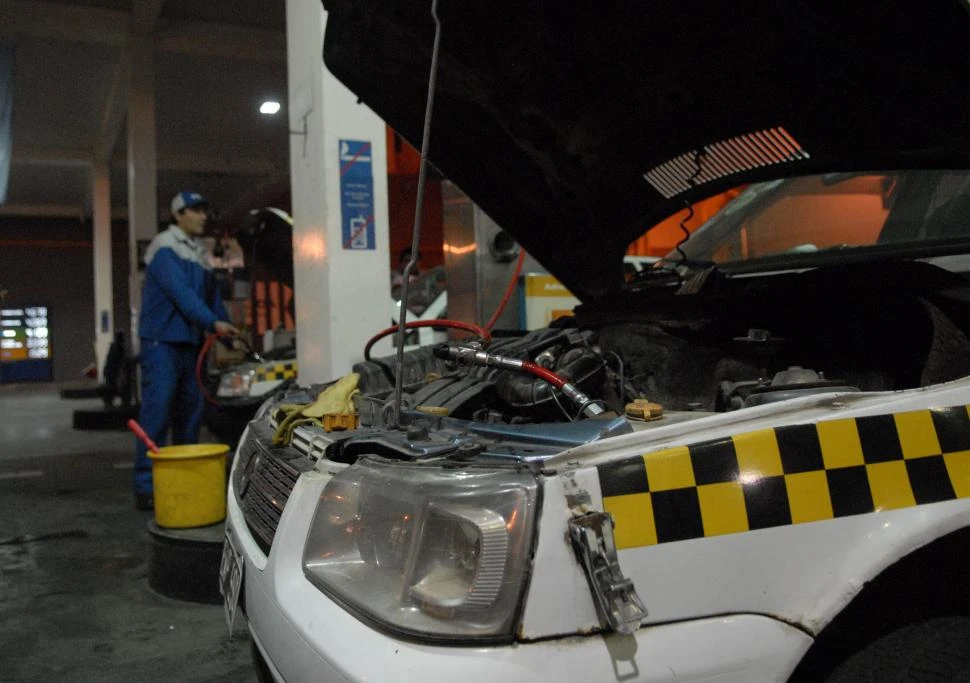  la gaceta / foto de FOTO DE OSVALDO RIPOLL (archivo)