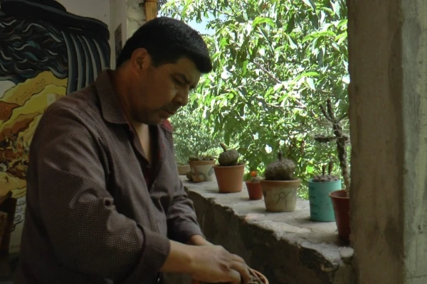 Dulces, hierbas, vinos y hasta un “café”: con el turismo rural, Talapazo exporta productos propios