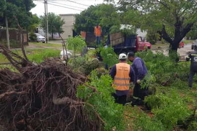 Tragedia en Formosa: murió un bebé por la caída de un árbol en medio de un temporal