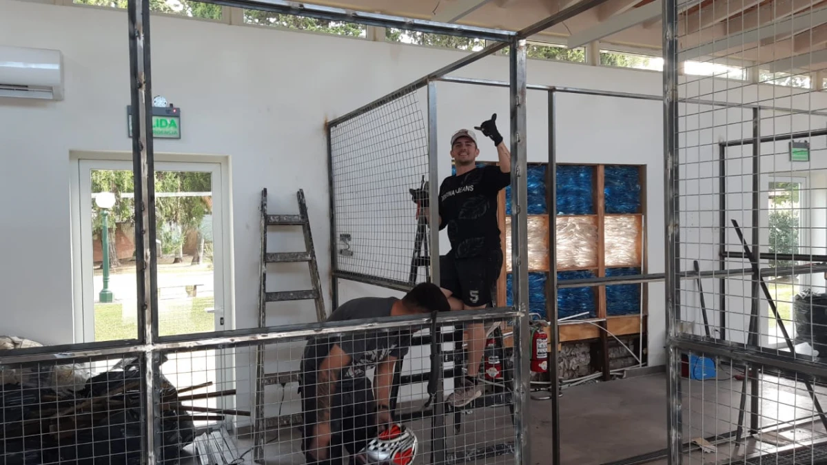 Avanza la construcción de los caniles en la Quinta de Olivos: Pronto mis hijitos vendrán a vivir conmigo, dijo Milei