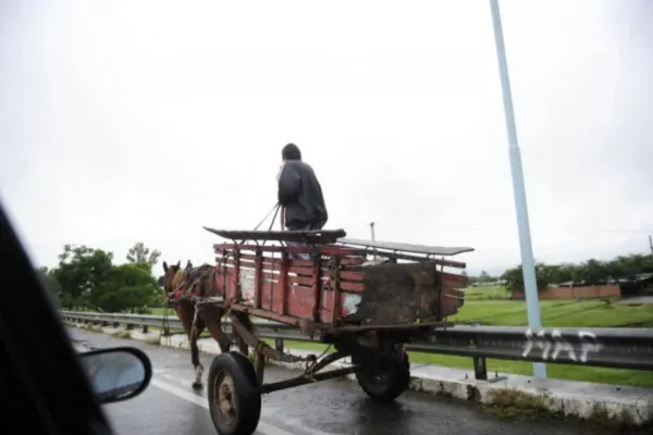 Nuestro compromiso contra el maltrato animal es rotundo, sostuvo José Cano