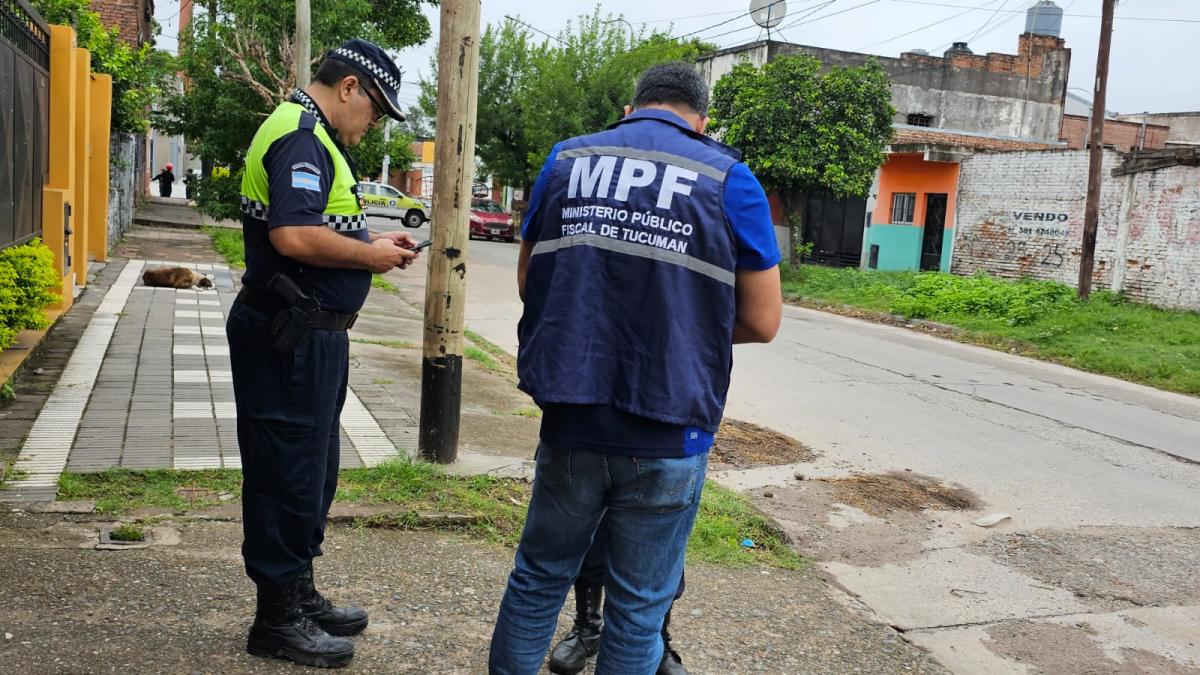 Equipos trabajan en la vivienda. FOTO MINISTERIO PÚBLICO FISCAL