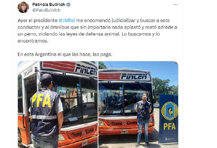 Milei felicitó a Patricia Bullrich por encarcelar a un conductor que atropelló y mató a un perro