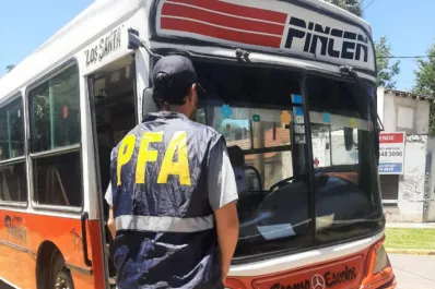 Mató a un perro callejero, quedó filmado y Milei ordenó buscarlo: El que las hace las paga