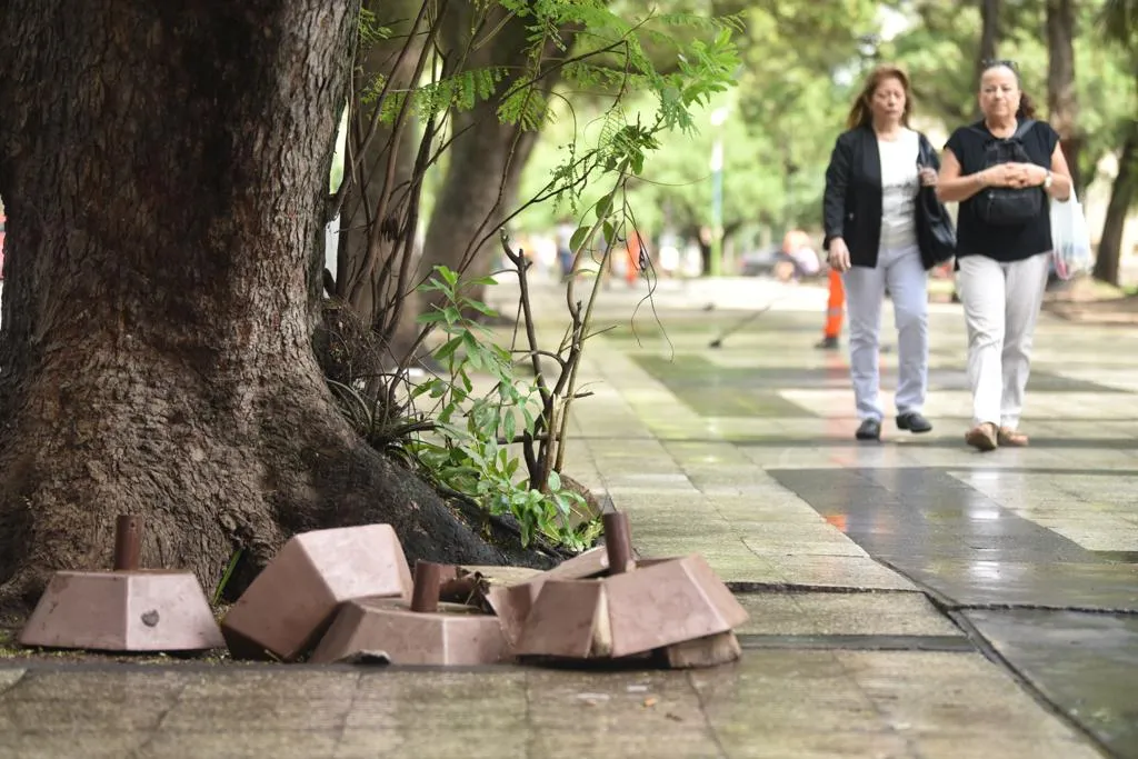 Proponen que se unifiquen los atractivos de las plazas con los elementos de los bares