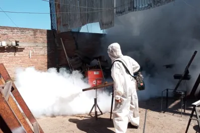 Cuáles son las 10 preguntas que todos se hacen sobre el dengue