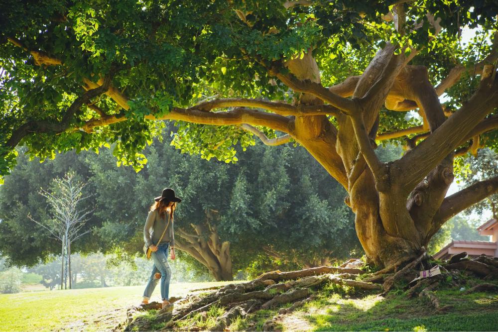 La importancia de la naturaleza apara tu salud