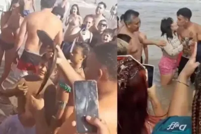 Apareció un tiburón bebé en Santa Teresita y turistas lo sacaron del agua para hacerse fotos