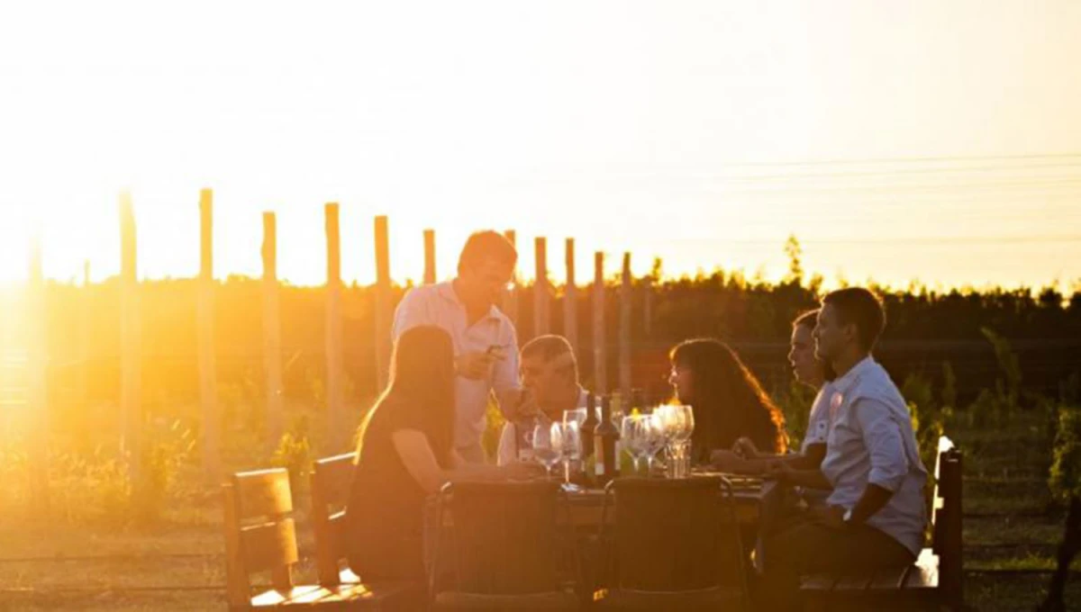 El camino del vino en Córdoba: existen 34 bodegas que podés recorrer