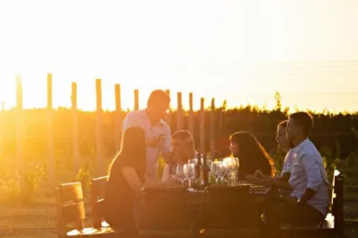 El camino del vino en Córdoba: existen 34 bodegas que podés recorrer