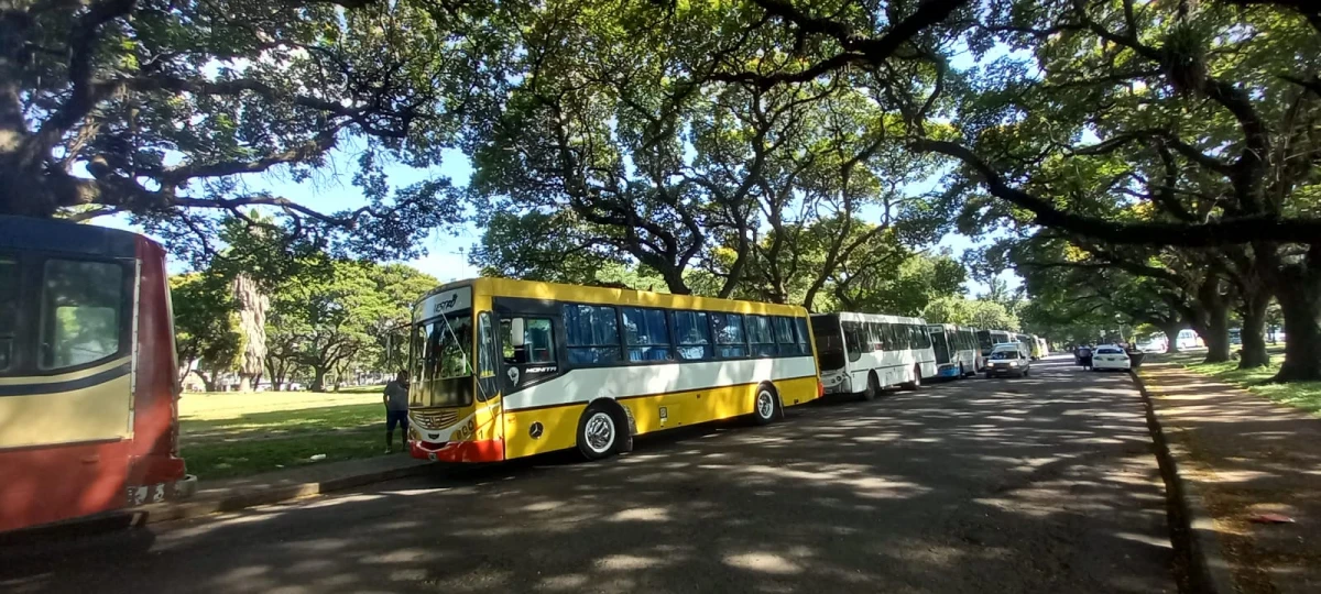 LA GACETA ANALÍA JARAMILLO