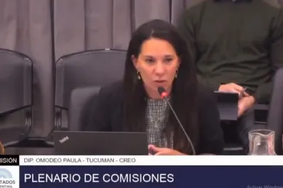 Video: así reaccionó Omodeo en el plenario de comisiones contra el kirchnerismo