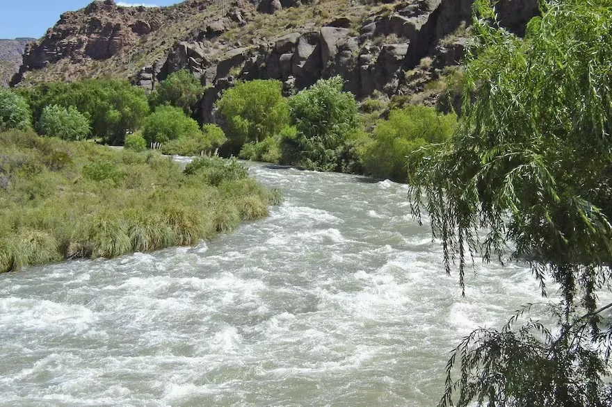 Se cayó al río, pidió ayuda, pero los demás pensaron que bromeaba: no sobrevivió