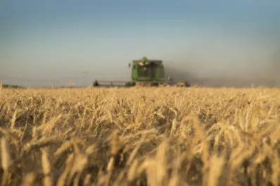 Por primera vez, Argentina podrá exportar trigo a China
