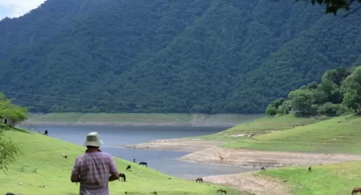 Verano 2024: más de 460.000 turistas extranjeros visitaron el país en la primera quincena de enero