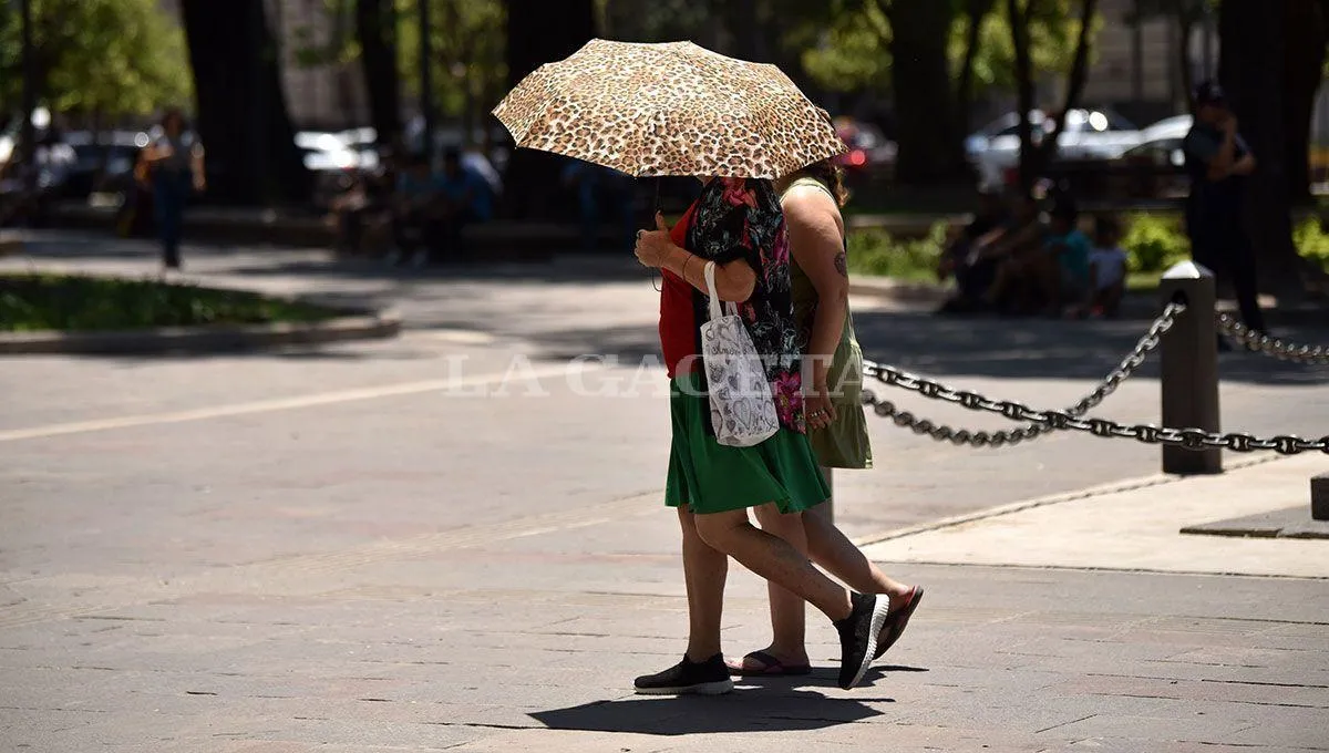 imagen archivo La Gaceta