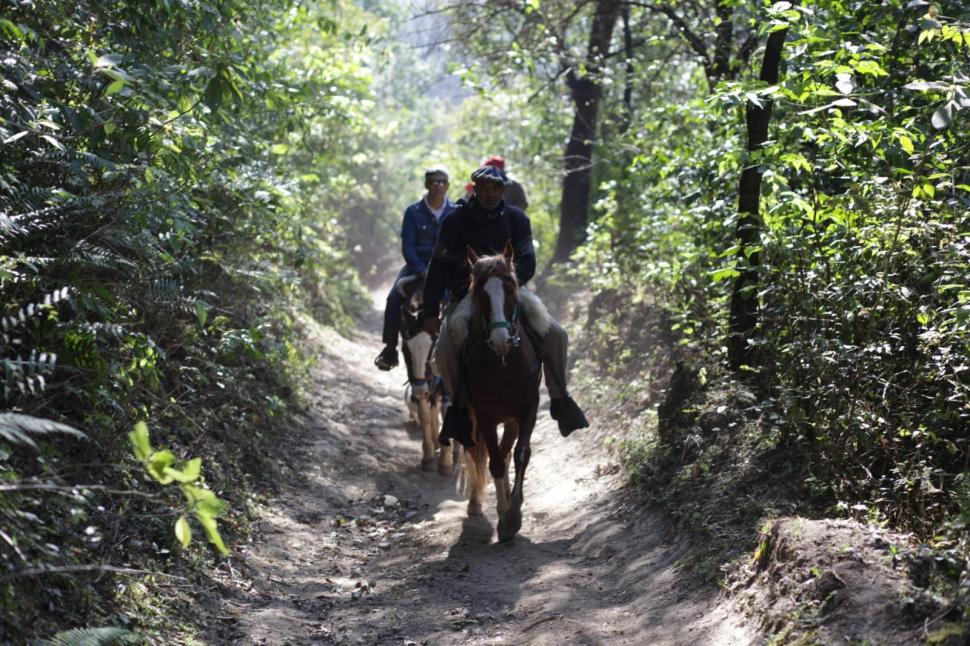 Sacale el jugo al verano en Tucumán con TucuPON