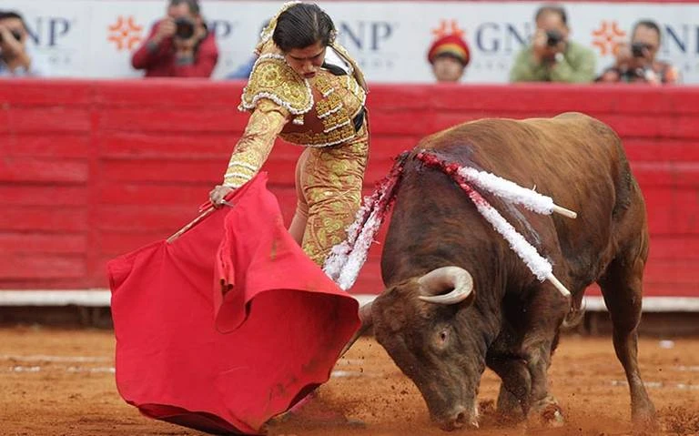 ¡OLE! En la plaza de toros volverán  a escucharse los famosos “Ole”, típicos de las jornadas taurinas.   