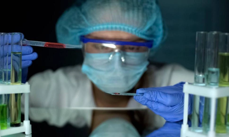 DATOS. La leucemia mieloide crónica representa el 15% del total de leucemias en pacientes adultos, normalmente a partir de los 67 años.