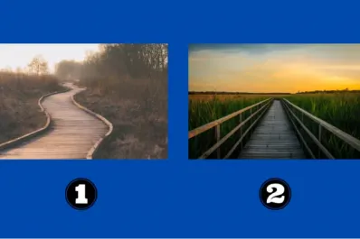 Test de personalidad: el camino que elijas revela qué necesitás para alcanzar tus metas