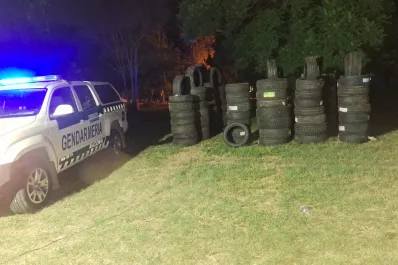 Secuestraron más de 1.200 neumáticos que eran transportados sin aval legal