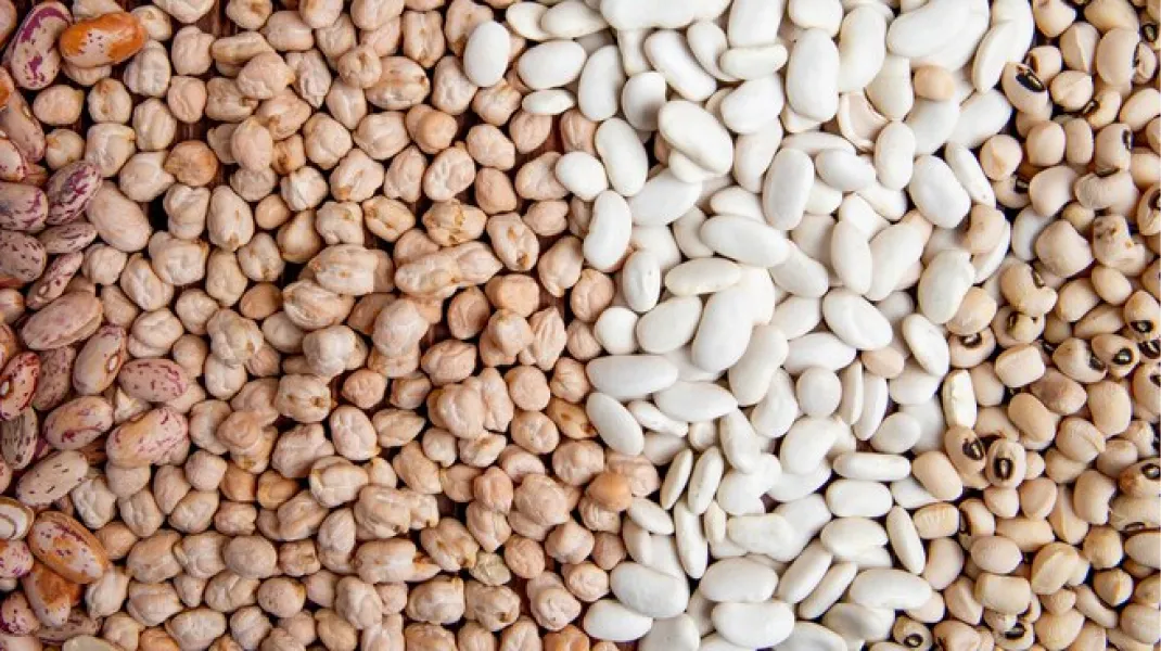 Súper legumbre: tiene más fibra que la avena y el doble de proteínas que el pollo