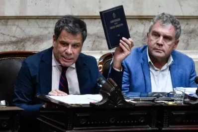 Facundo Manes, duro contra Milei: Lo que necesitamos son estadistas, no leones