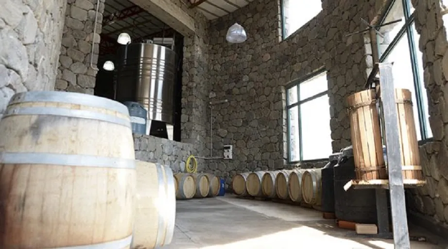 Todo listo para el primer encuentro del vino del lagar Amaicheño