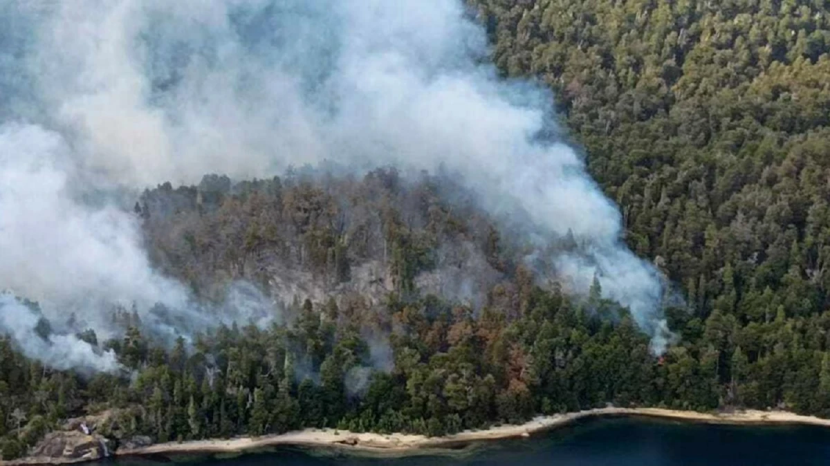  La zona afectada se compone de bosque de coihue y ciprés, presentando una topografía de difícil acceso.