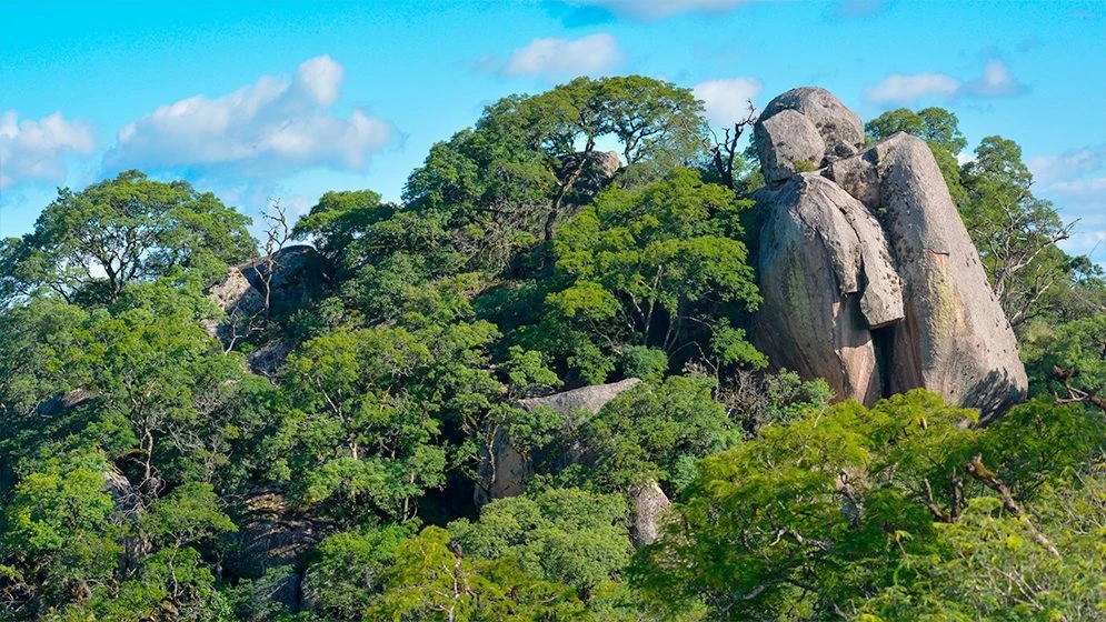 EL ANCASTI. Se estudian las actividades humanas en la naturaleza.