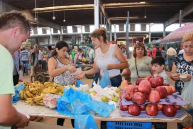 Economía familiar: la Municipalidad implementará el programa Tour al Mercofrut con traslado gratuito