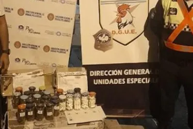 Secuestraron marihuana y cocaína en un puesto fronterizo