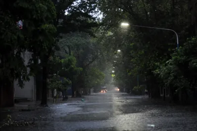 Las consecuencias del temporal en Tucumán: árboles caídos y cortes de luz